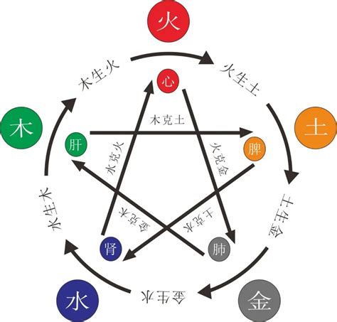 缺木的人工作|八字五行缺木怎么办 五行缺木忌讳什么